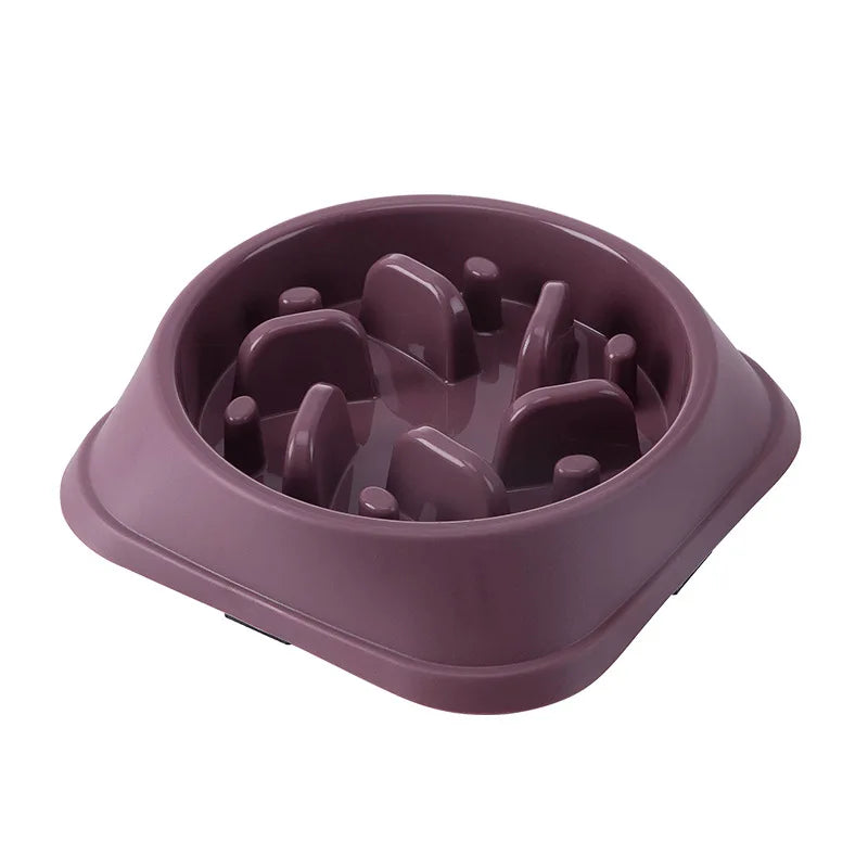 Slow Feeder Bowl - Anti-Gulp Pet Bowl for Healthy Eating