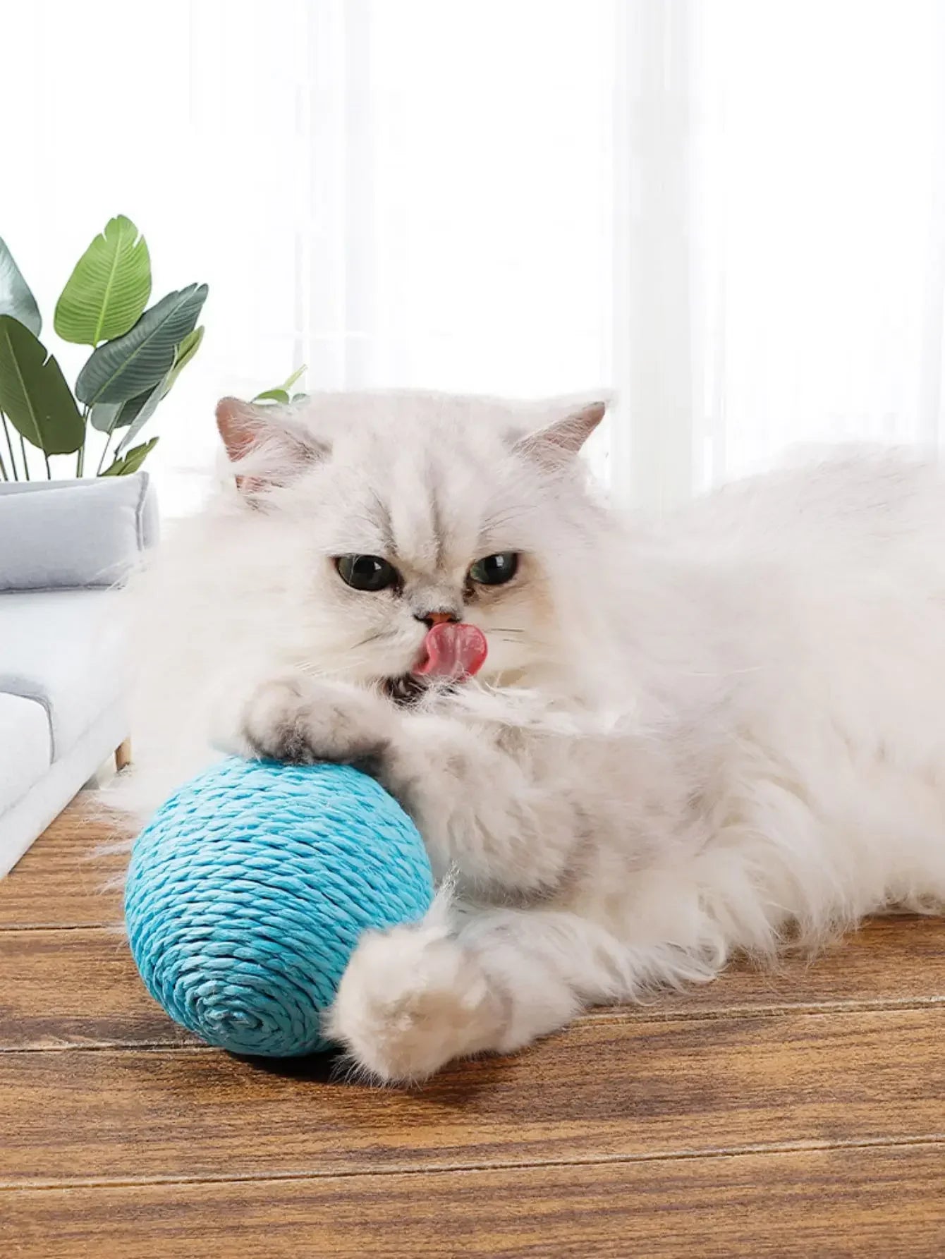 Natural Sisal Cat Scratcher Ball - Eco-Friendly Claw Care